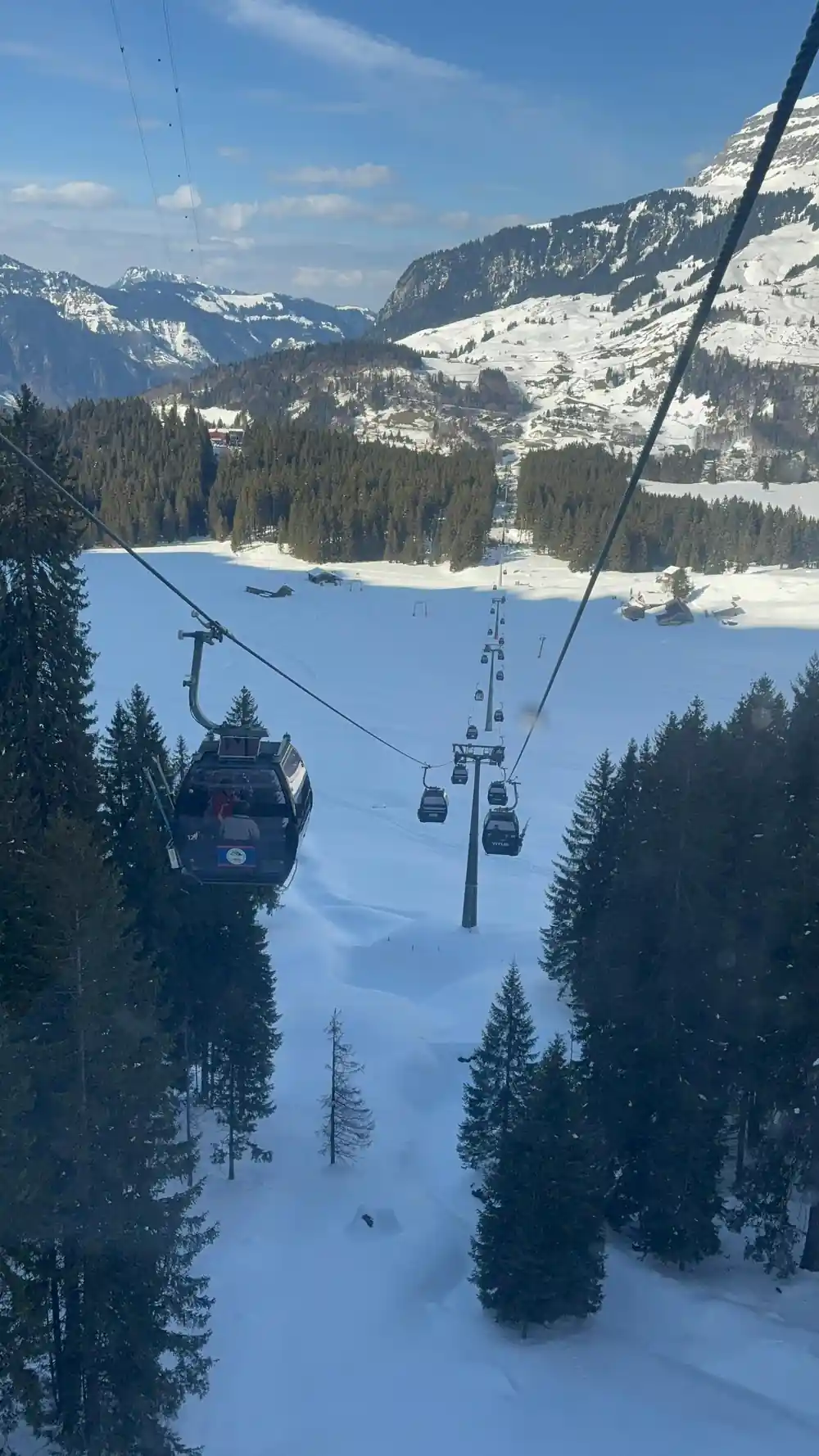 Gondolas over dark pines on the way up from the valley